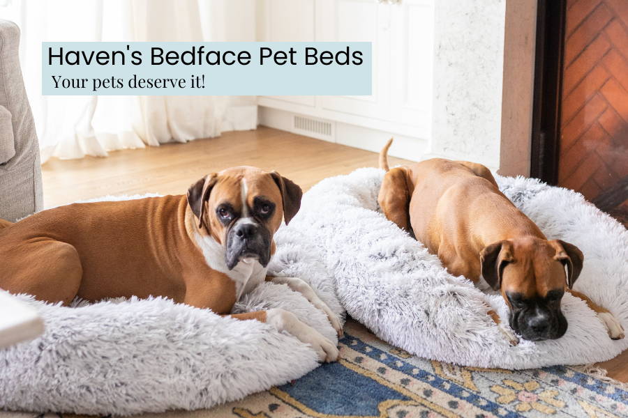 Give your Little Furry Fellas the Best Sleep with Haven s Bedface Pet Haven CANADA