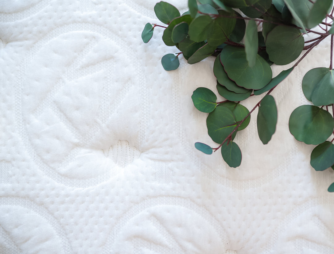 Celebrate Earth Day with Haven: The Greenest Choice in Sleep Comfort