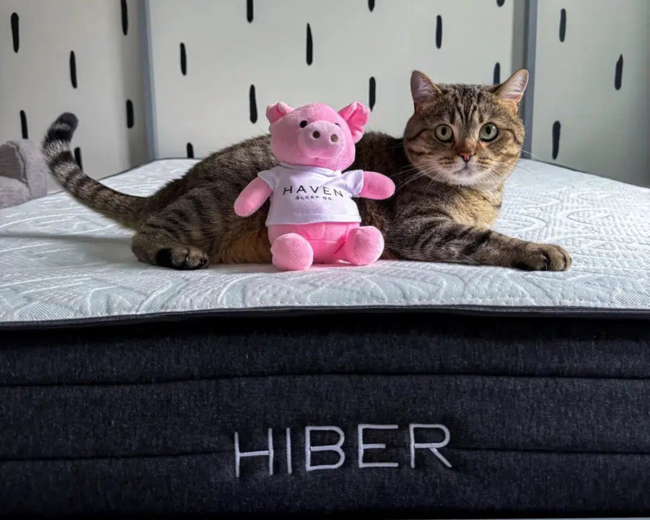 A cat and stuffed animal resting on the HIBERNate Kids Mattress, highlighting the soft, comfortable surface that creates a cozy sleep environment for children and their favorite companions.