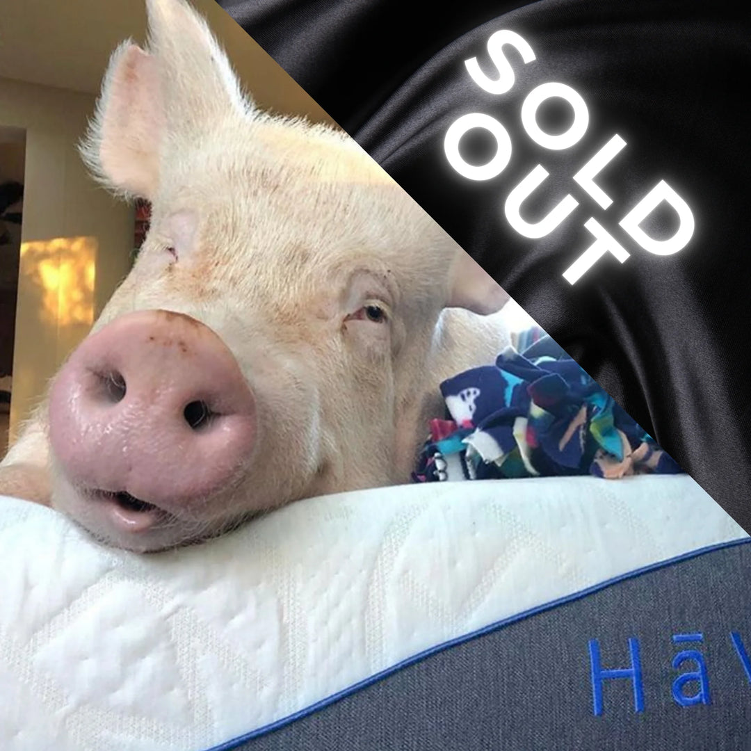 Discover the Magic of Sleep with The Esther the Wonderpig Holiday Mattress Bundle