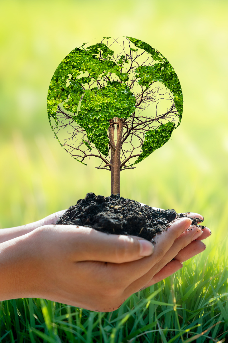 Every Day Is Earth Day at Haven: Celebrating World Environment Day with Sustainable Sleep