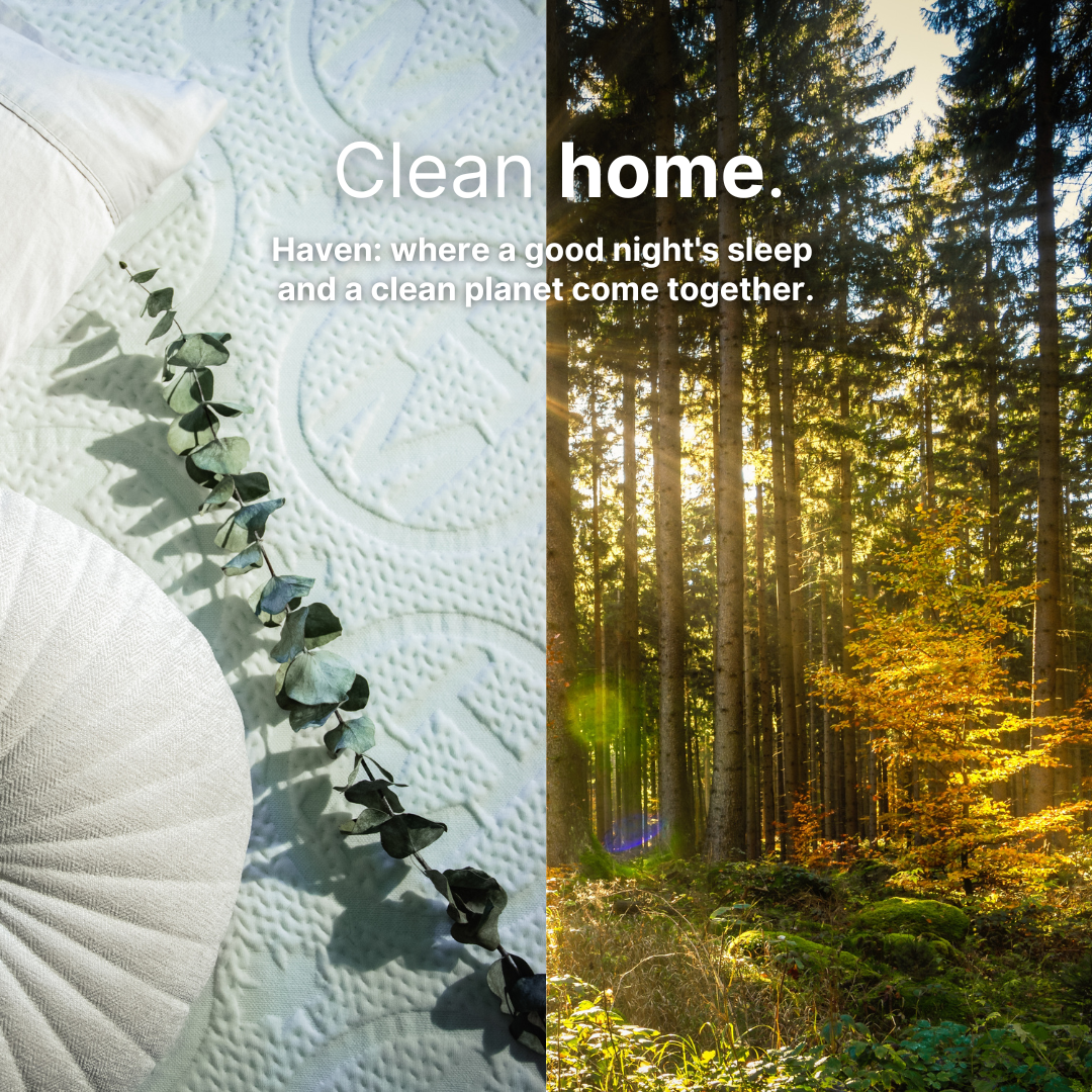 The Responsible Rest: How Haven's Eco-Materials Benefit You and the Earth