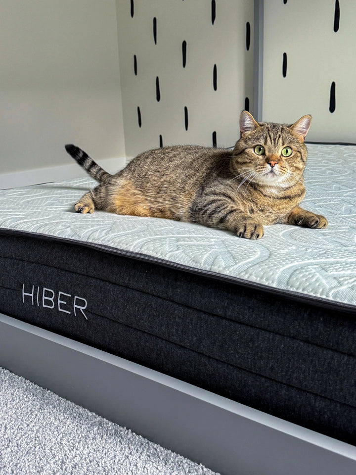 HIBER Natural and Affordable Canadian Made Mattress