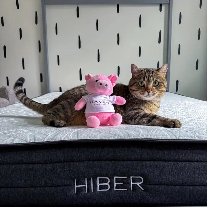 A cat and stuffed animal resting on the HIBERNate Kids Mattress, highlighting the soft, comfortable surface that creates a cozy sleep environment for children and their favorite companions.