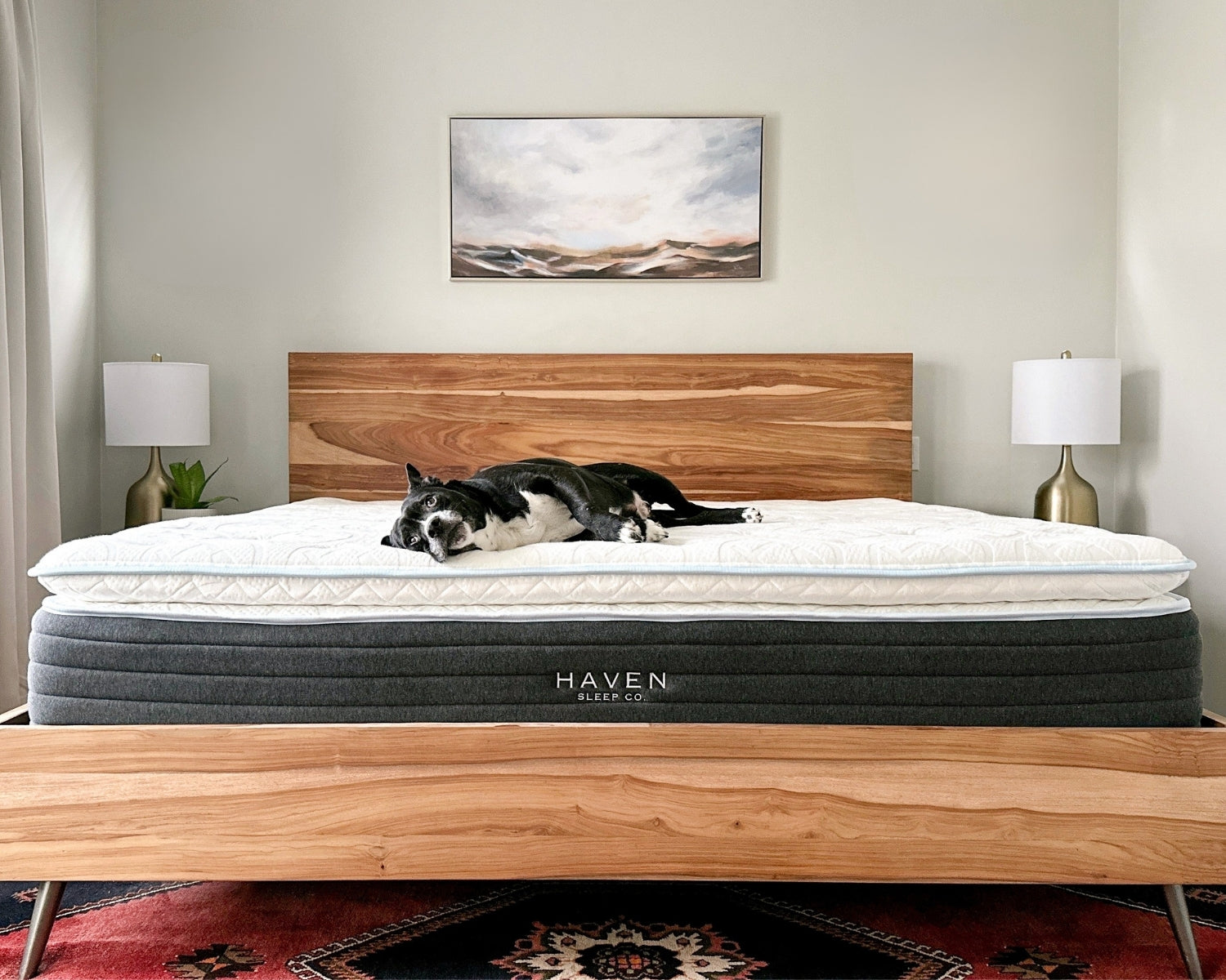 Dog lying on a Haven mattress in a bedroom with wooden bed frame and lamps.