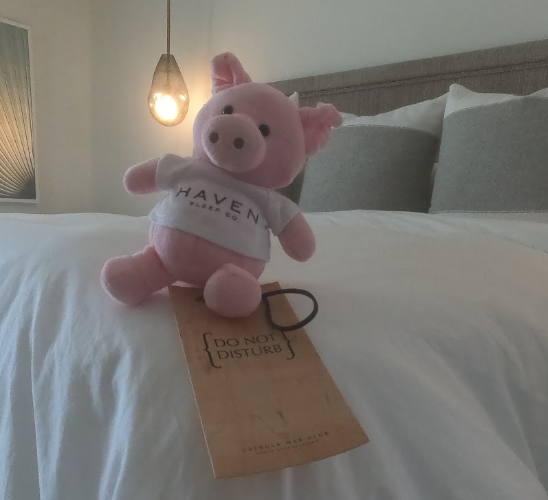 A stuffed animal
