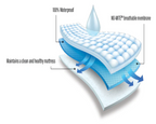 Illustration showing the cross-sectional layers of a mattress protector, highlighting its 100% waterproof feature, NO-MITE breathable membrane, and ability to maintain a clean and healthy mattress. The image represents how the protector effectively blocks moisture while providing cooling comfort.