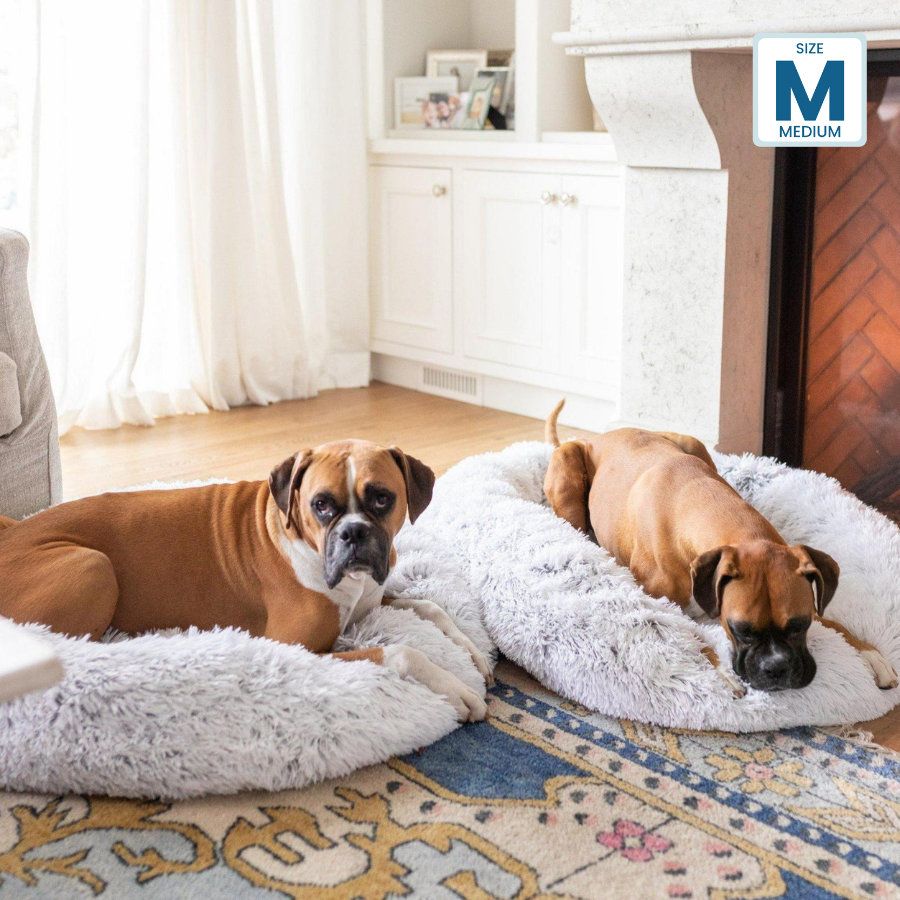 Dog 2024 cots canada