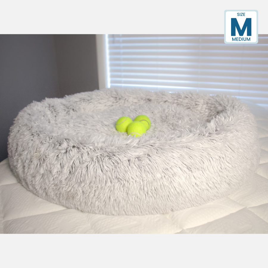 Medium size discount dog bed